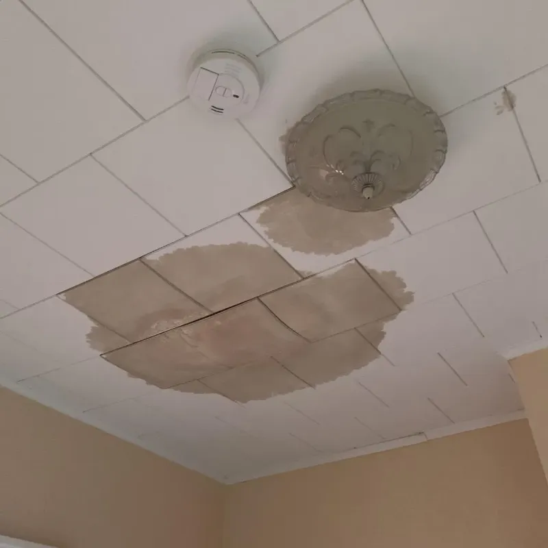 Ceiling Water Damage Repair in Columbia, IL