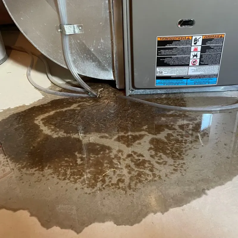 Pipe Burst and Leak Restoration in Columbia, IL