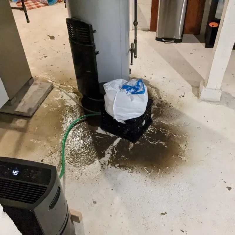 Sewage Backup Cleanup Service in Columbia, IL